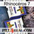 Rhinocéros 7 12